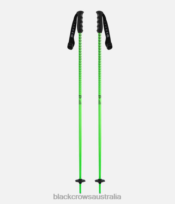 Black Crows Accessories 62HDJ283 Junior Meta Junius Poles Green