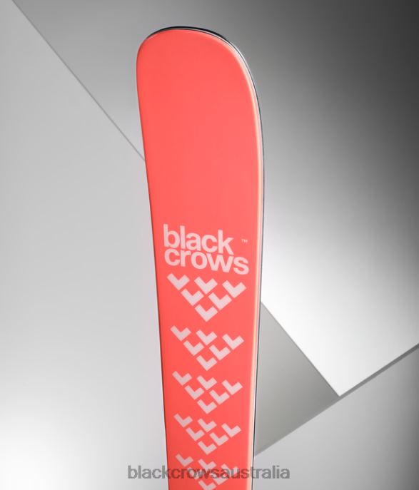 Black Crows Accessories 62HDJ224 Women Camox Birdie Mixed Colors