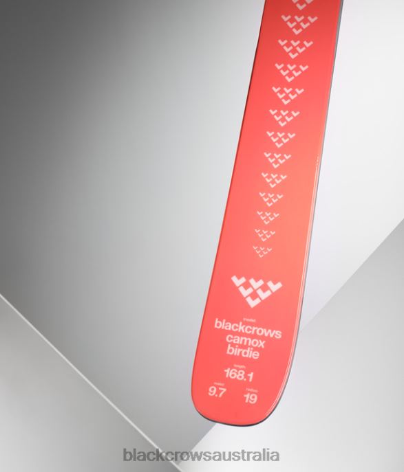 Black Crows Accessories 62HDJ224 Women Camox Birdie Mixed Colors